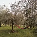 Conca Sandra - Farm On *