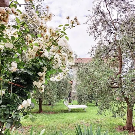 아파트 Conca Sandra - Farm On 페를레도