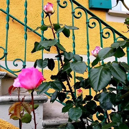 Apartament Conca Sandra - Farm On *